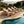 Light Teak Acacia Wood Chaise Lounge Set