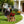 Majestic Eagle Garden Planter Pot on Tree Stump Base
