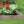 Suncast Landscape Border Decorative Natural Stone Edging, 12