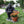 Outdoor Garden Sculpture Chimpanzee Flower Pot Planter