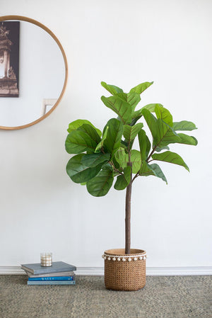 25x25x52"H Fiddle Fig Leaf Tree with 40 Leaves