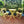 3 Piece Patio Bistro Set of Foldable Round Table and Chairs