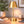 Elegance Rechargeable LED Table Lamp LED Touch Switch