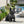 Outdoor French Bulldog Garden Sculpture