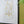Wall Arts (Set of 2) - Multicolor