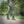 M‑Tac Cotton Pants Stealth