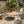Nusa Outdoor Patio 4-Pcs Chat Set