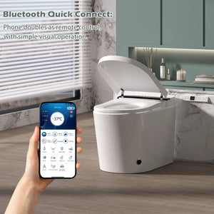 Smart Toilet With Bidet Built-In, Auto Flush, Heated Seat & Warm Air Drying