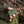 M-Tac Patch Medic PVC Olive/black