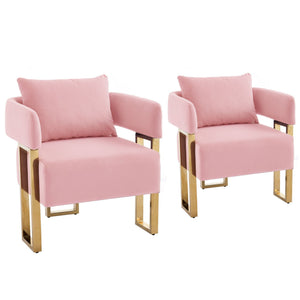 Modern Classic Decorative Chair with Teddy Fleece Upholstery