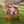 Wooden Kid's Adirondack Chair for Indoor and Outdoor Use