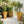 Classic Set of 3 Tall Outdoor Planters