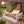 4-Pieces Sofa Set with Cushions Outdoor Loveseat & Coffee Table Set