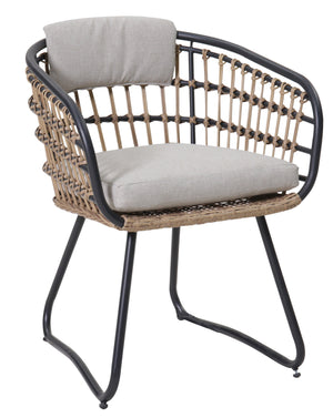 Outdoor Wicker Dining Chairs Set of 2 with Cushions