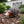 Handmade Wrought Iron Hedgehog Garden Statue