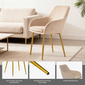 Dining Chair Set For Dining Rooms (Set of 2) - Beige
