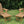 2-Piece All-Season Outdoor Lounge Chairs For Patio Leisure & Garden Relaxation Moments
