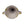 Delphine Urn