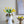 8.5x8.5x14 White Two-Tiered Ceramic Vase with Gold Bird Accents