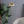 Spectra - Tall Corner Floor Lamp For Living Room - Gold