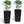 Pack of 2 Square Planters with Automatic Watering System