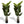 Artificial Plant For Indoor And Outdoor Decoration (Set of 2)