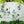 Metal Garden Rustproof Trellis For Climbing Plants Outdoor Flower Support