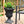 Southern Patio EB-029816 Winston 16 Inch Diameter Resin Outdoor Planter, Black