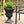 Southern Patio EB-029816 Winston 16 Inch Resin Outdoor Planter, Black (2 Pack)