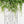 4 Pack Metal Garden Trellis