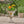 Delphine Urn