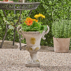 Delphine Urn
