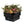 Active Aqua MGSYS 22 x 22 Inches Megagarden Planter with Ebb and Flow System