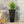Outdoor Modern Cast Stone Planter