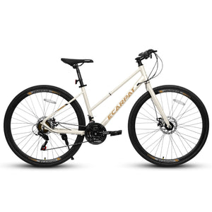A28250 Road Bike with Aluminum Alloy Wheels and 21-Speed Gear System - Beige or Light Blue