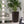 Indoor Outdoor Planter With Automatic Watering System
