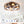 19-Inch 7-Blade Caged Flush Mount Ceiling Fan with Remote Control