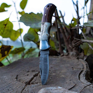 Echo Damascus Pocket Knife with Stag Horn/Antler & Rosewood Handle - TRAPSKI