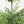 4' Artificial Real Touch Pine Tree