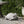 Outdoor Turtle Statue