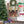 4FT Green PVC and PE Christmas Tree with 919 Tips