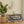 Shoe Storage Bench with 2 Flip Drawers and Adjustable Shelf - Antique