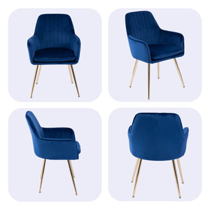Modern Mid Back Dining Chairs