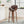 Lumos Mid Century Modern Upholstered Swivel Barstool