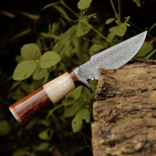 Elite Damascus Hunting Knife with Mother of Pearl & Rose Wood Handle