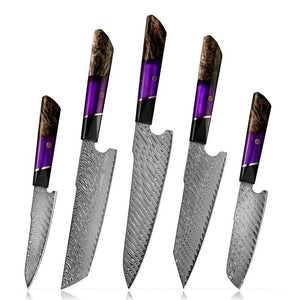 Elite Series VG10 Damascus Knife Set with Exotic Burl Wood Handle - TRAPSKI