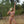 Endless Summer Triangle Bikini Top