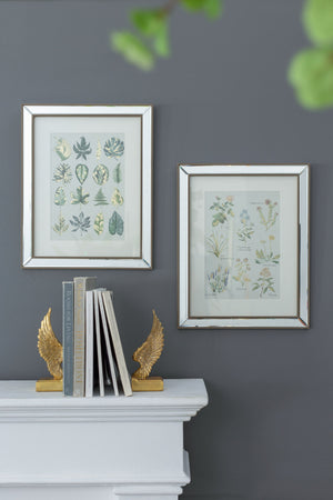 Liana Mirror Framed Wall Art Set with Botanical Designs - Golden Tint