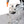 General International Tilting Head 21