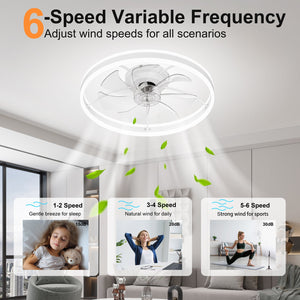 23.6 Inch Ceiling Fan with Light, Quiet DC Motor, Dimmable 3-Color LED